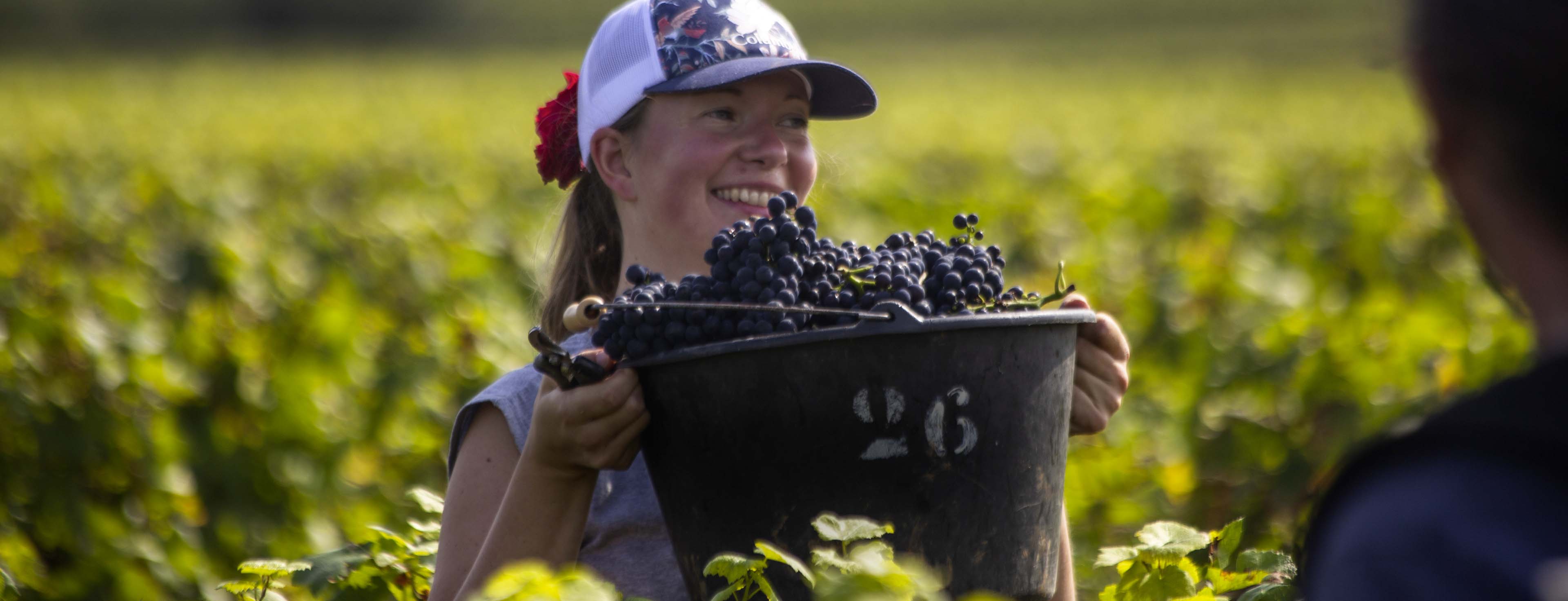 Bandeau principal page d'accueil